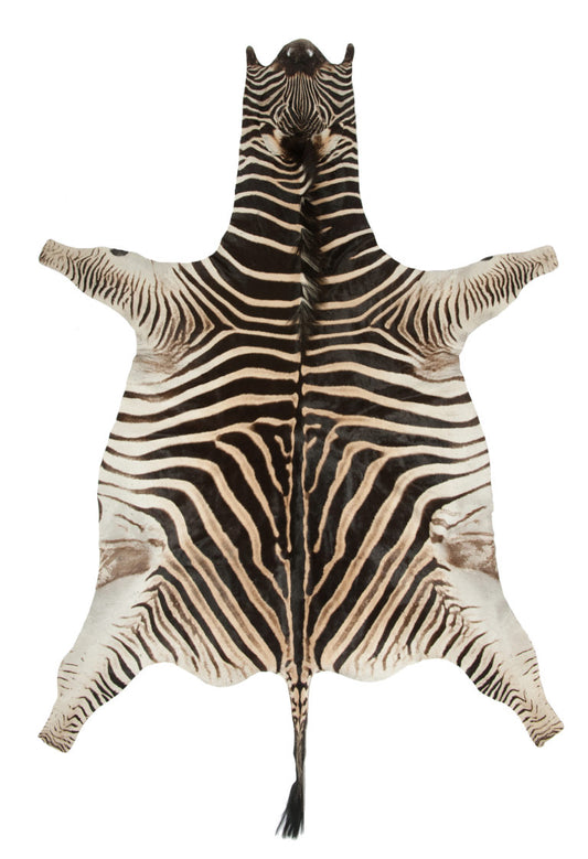 Zebra Skin - A Grade