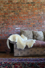 Load image into Gallery viewer, photo of medical sheepskin
