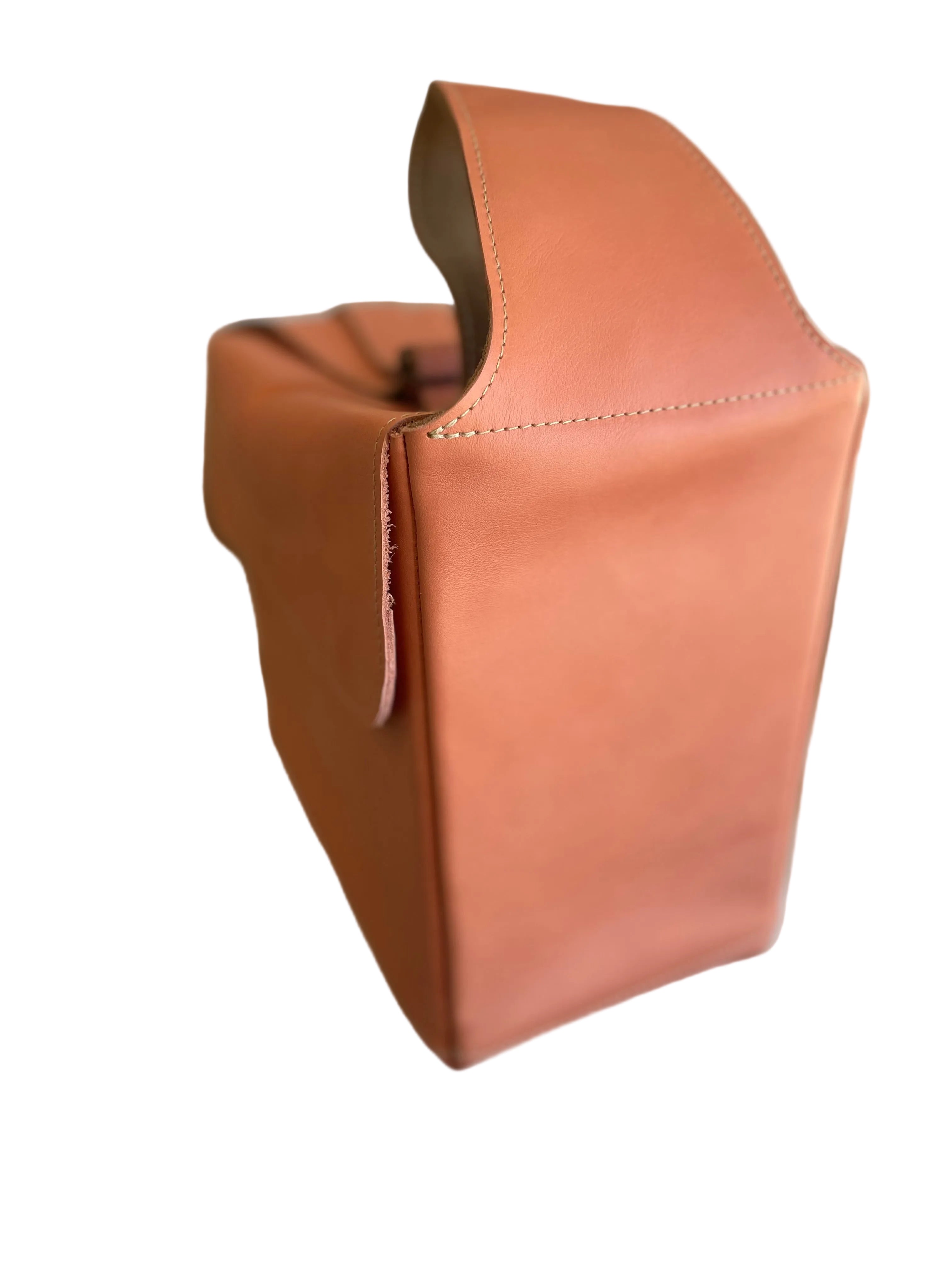 Project Bag - Pink