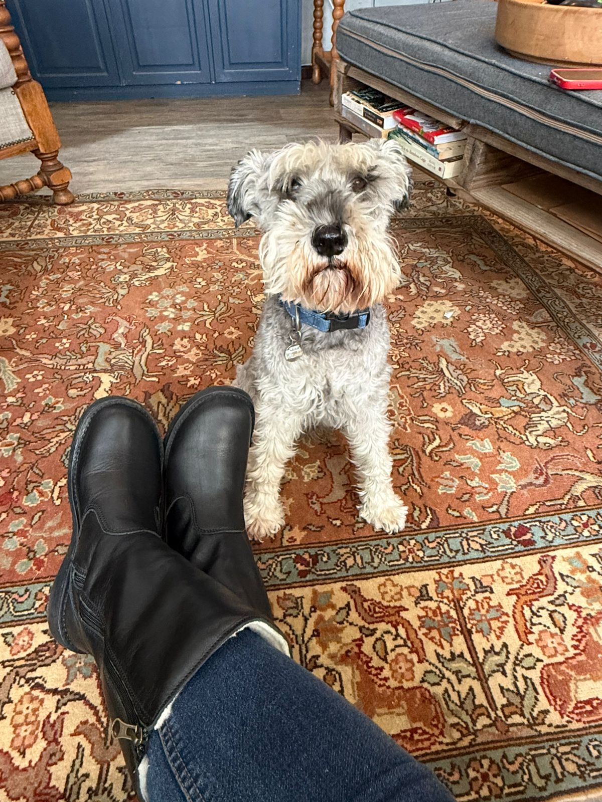 Wool Lined Leather Boots